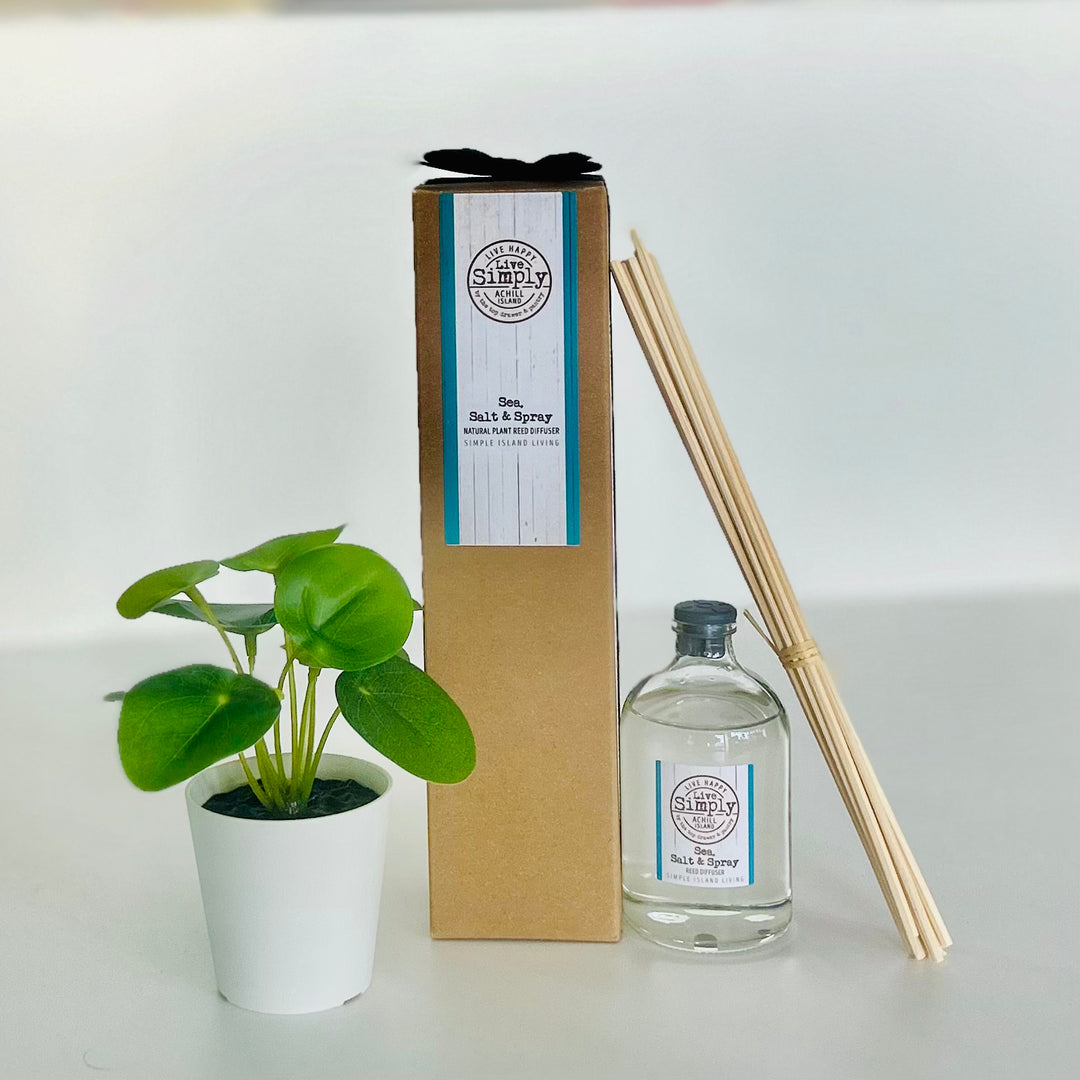Reed diffuser set with bottle, sticks, and plant on a white background
