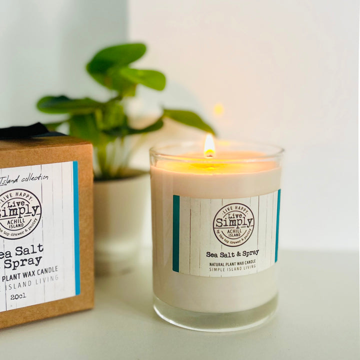 Candle with a label and packaging on a surface with a plant in the background